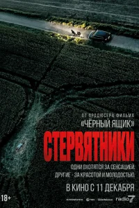 Стервятники